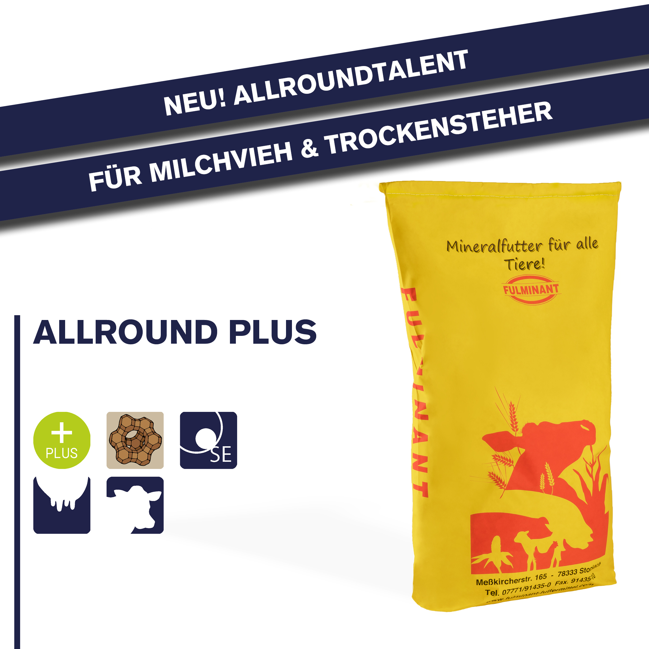 Fulminant Allround Plus